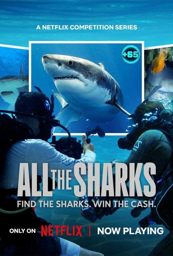 Все акулы